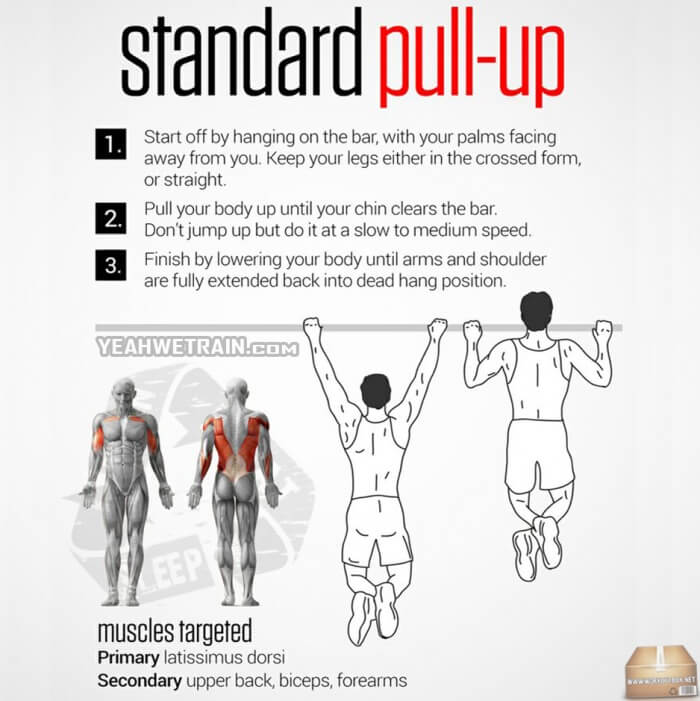 Standard Pull-Up ! Healthy Fitness Training Tip Workouts Routine