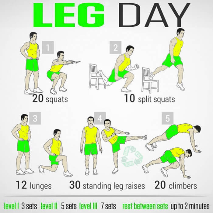 Leg Day ! Strong At Home Training For Your Legs Healthy Fitness 