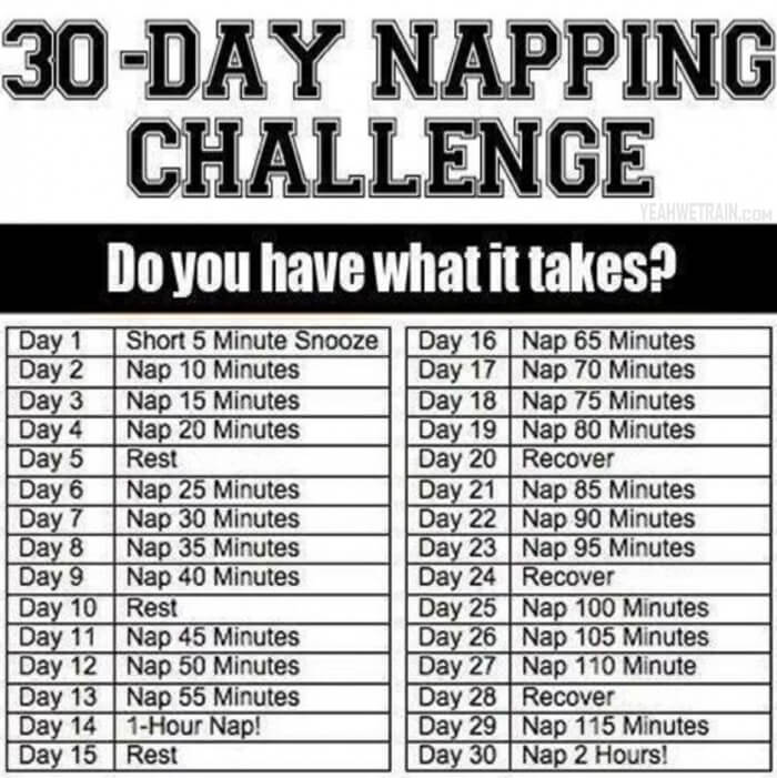 30 Day Napping Challenge - Accepted? Do You Have What It Takes?