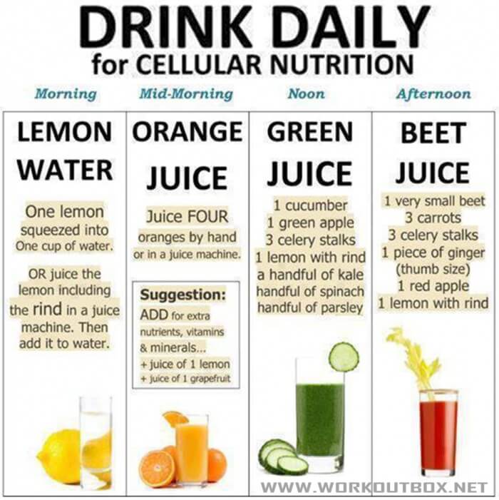 Drink Daily For Cellular Nutrition - Healthy Fitness Tip Workout