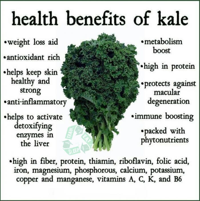 Healthy Benefits Of Kale - Fitness Tips Tricks Recipes Workouts