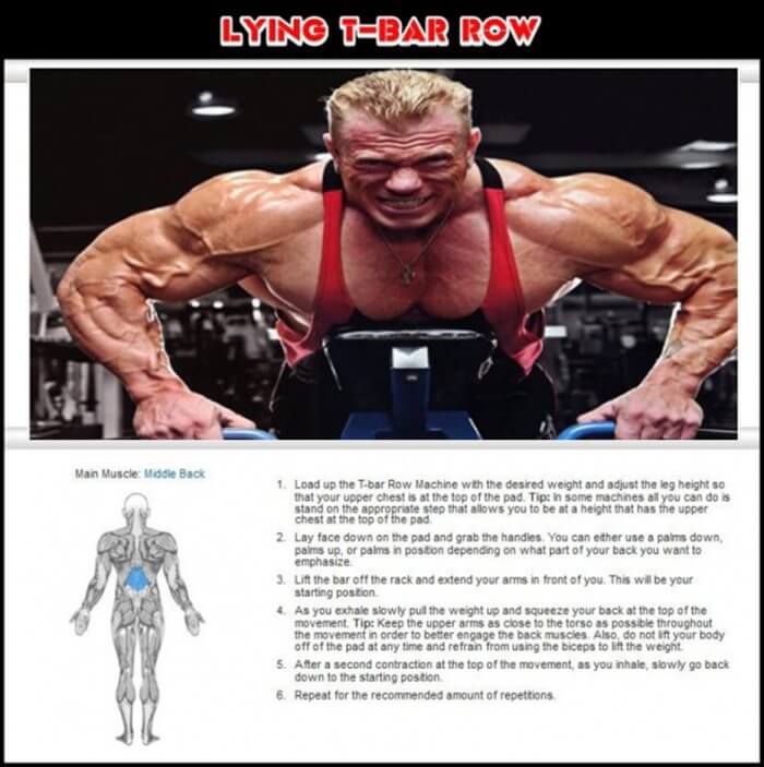 Lying T-Bar Row - Healthy Fitness Training Routine Exercise Back