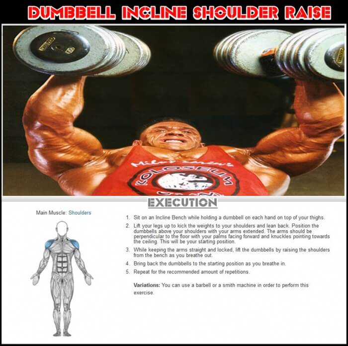 Dumbbell Incline Shoulder Raise - Healthy Fitness Workout Plans