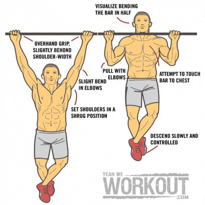How to Chin-Ups - Healthy Fitness Workout Routine Back Arms Core
