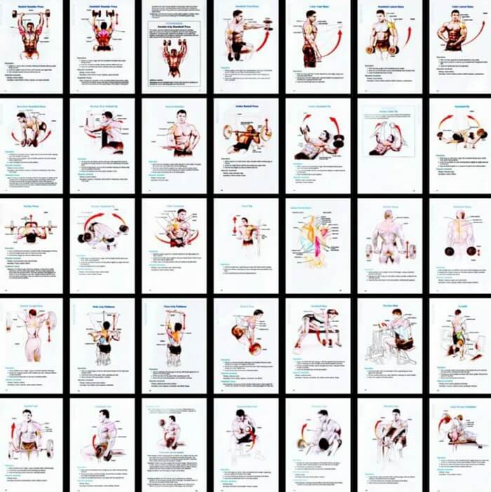 Body Exercises Chart - Healthy Fitness Training Routine Plan Abs