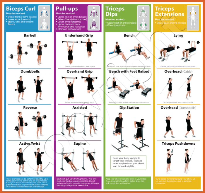 Arm Workout Chart