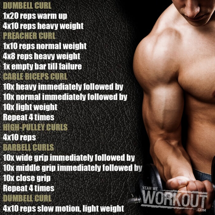 Stronger Biceps Workout - Health Fitness Training Plan Arms Curl