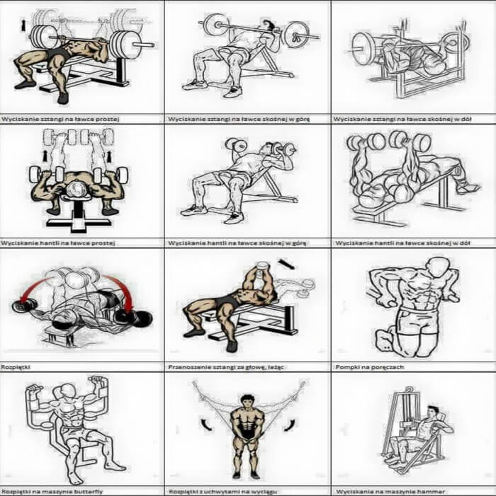 Bodybuilding Chest Exercises Chart