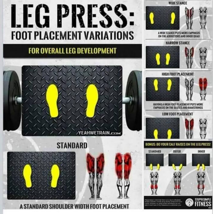 Leg Press Foot Placement Variations - Healthy Fitness Legs Butt