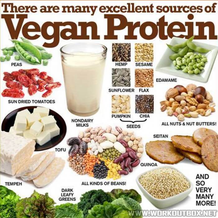 There Are Many Excellent Sources Of Vegan Protein - Healthy Tips