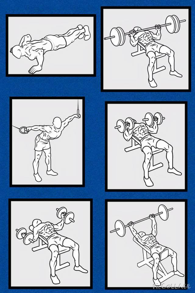 Best Chest Exercises - Fitness Training Plan Full Body Healthy
