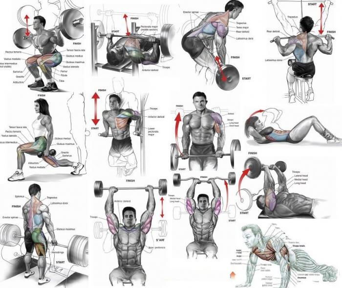 Full Body Workout Level 9000